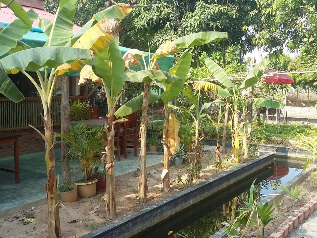 סיאם ריפ Homestay Villa Dani מראה חיצוני תמונה